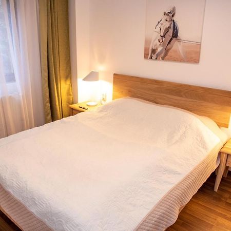 Classic Apartment Near The City Center คลูจ-นาโปกา ภายนอก รูปภาพ