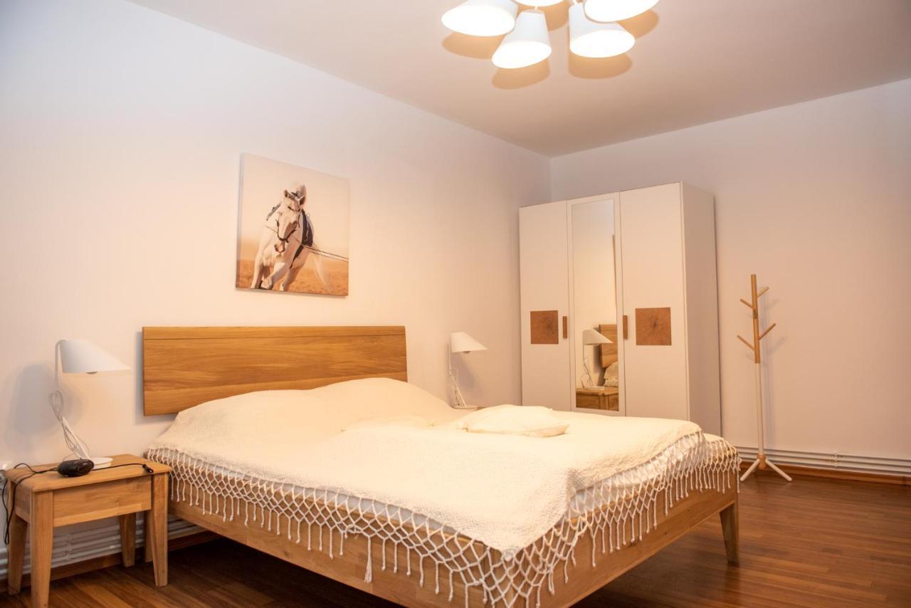 Classic Apartment Near The City Center คลูจ-นาโปกา ภายนอก รูปภาพ