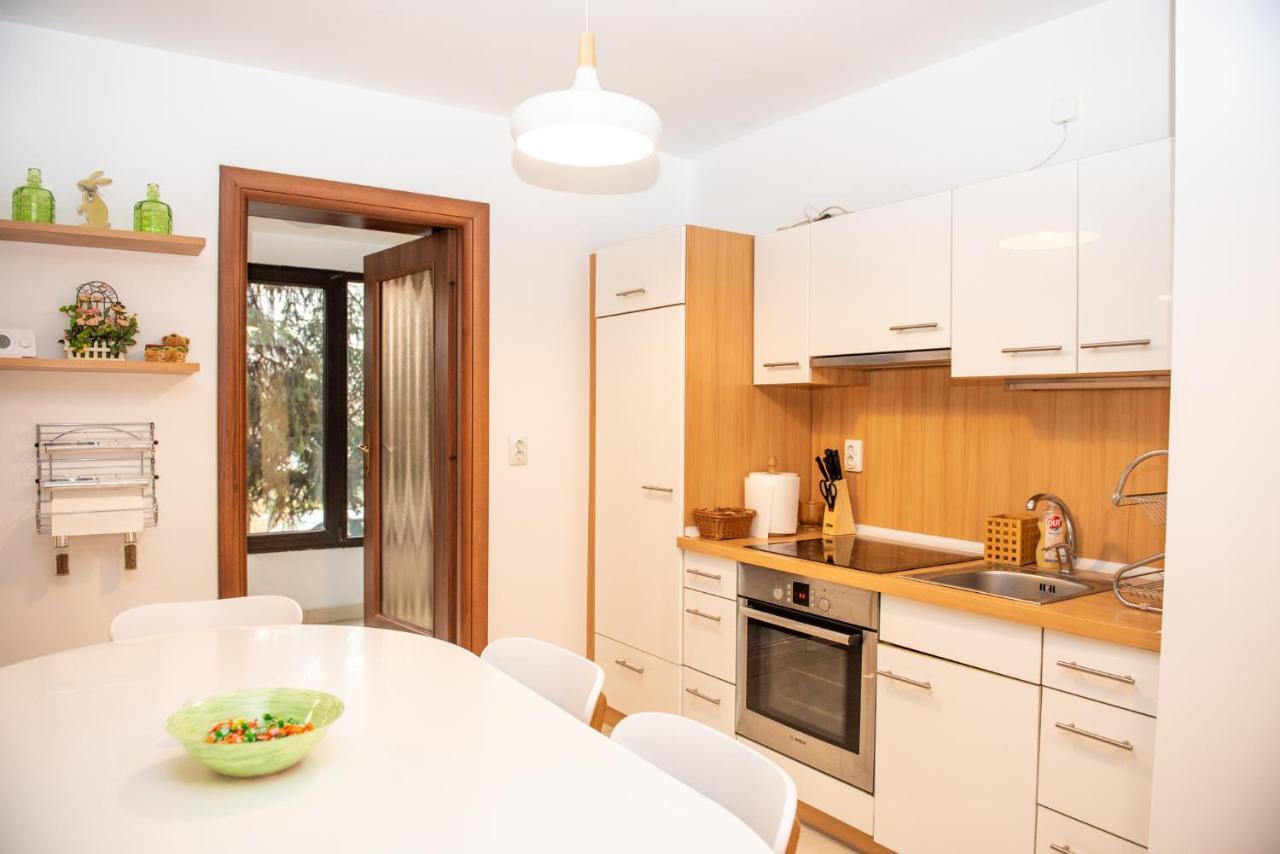 Classic Apartment Near The City Center คลูจ-นาโปกา ภายนอก รูปภาพ