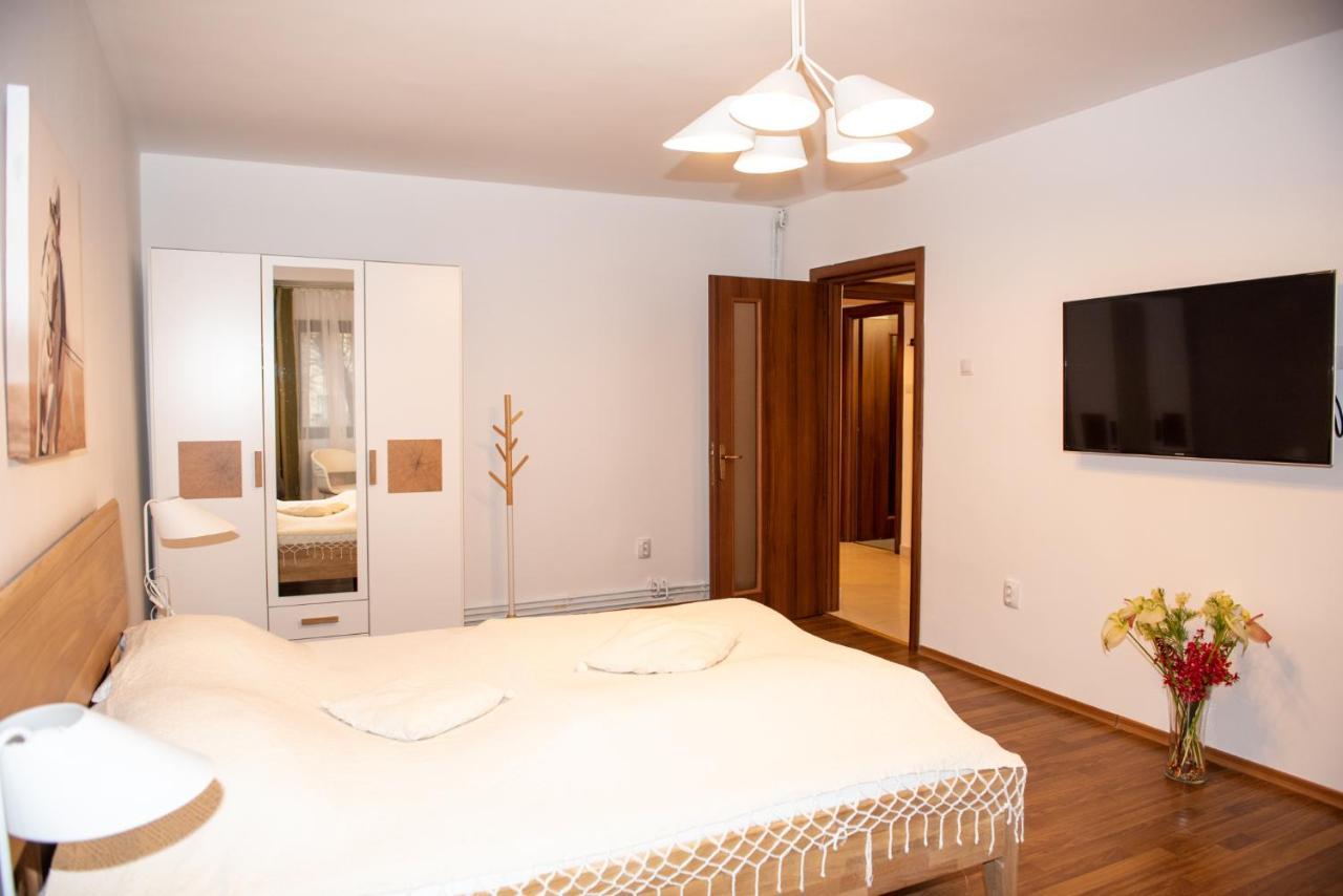 Classic Apartment Near The City Center คลูจ-นาโปกา ภายนอก รูปภาพ