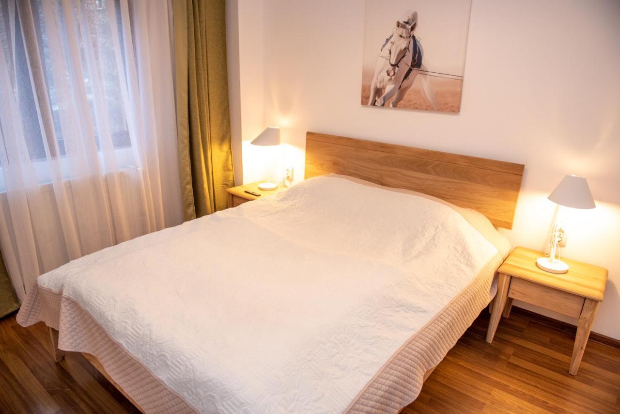 Classic Apartment Near The City Center คลูจ-นาโปกา ภายนอก รูปภาพ