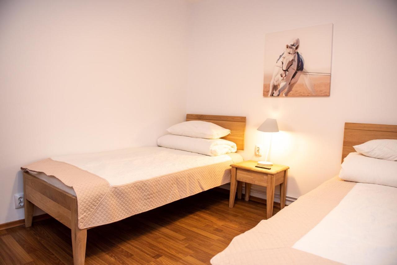 Classic Apartment Near The City Center คลูจ-นาโปกา ภายนอก รูปภาพ
