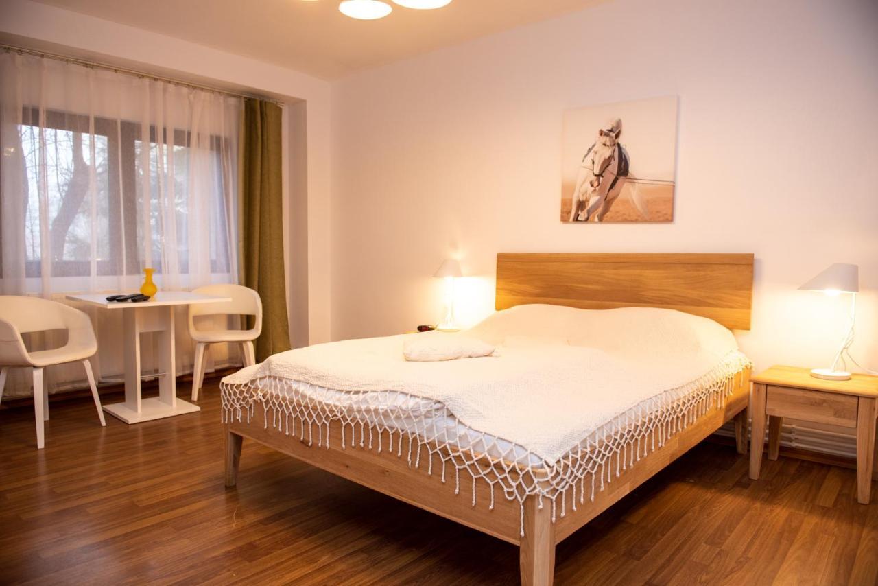 Classic Apartment Near The City Center คลูจ-นาโปกา ภายนอก รูปภาพ
