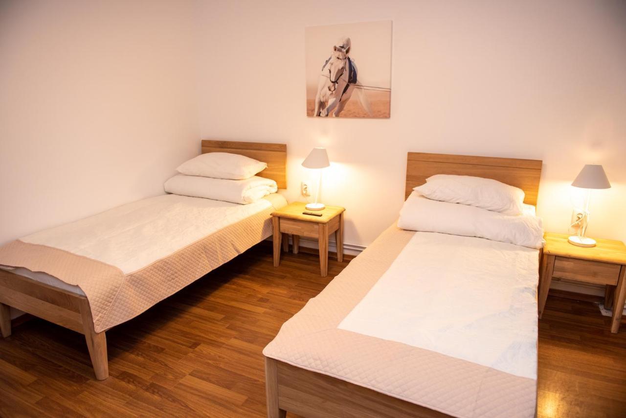 Classic Apartment Near The City Center คลูจ-นาโปกา ภายนอก รูปภาพ