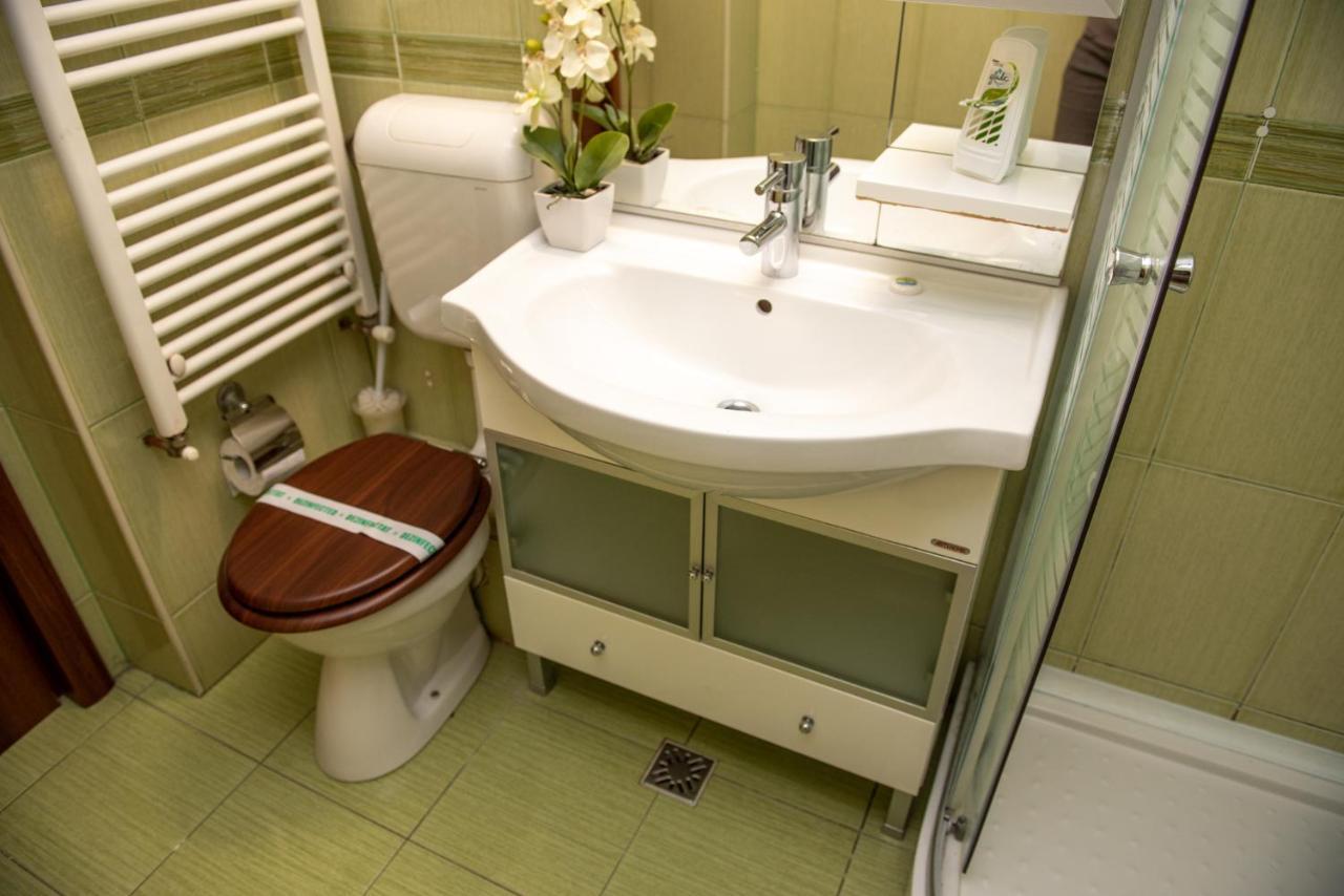 Classic Apartment Near The City Center คลูจ-นาโปกา ภายนอก รูปภาพ